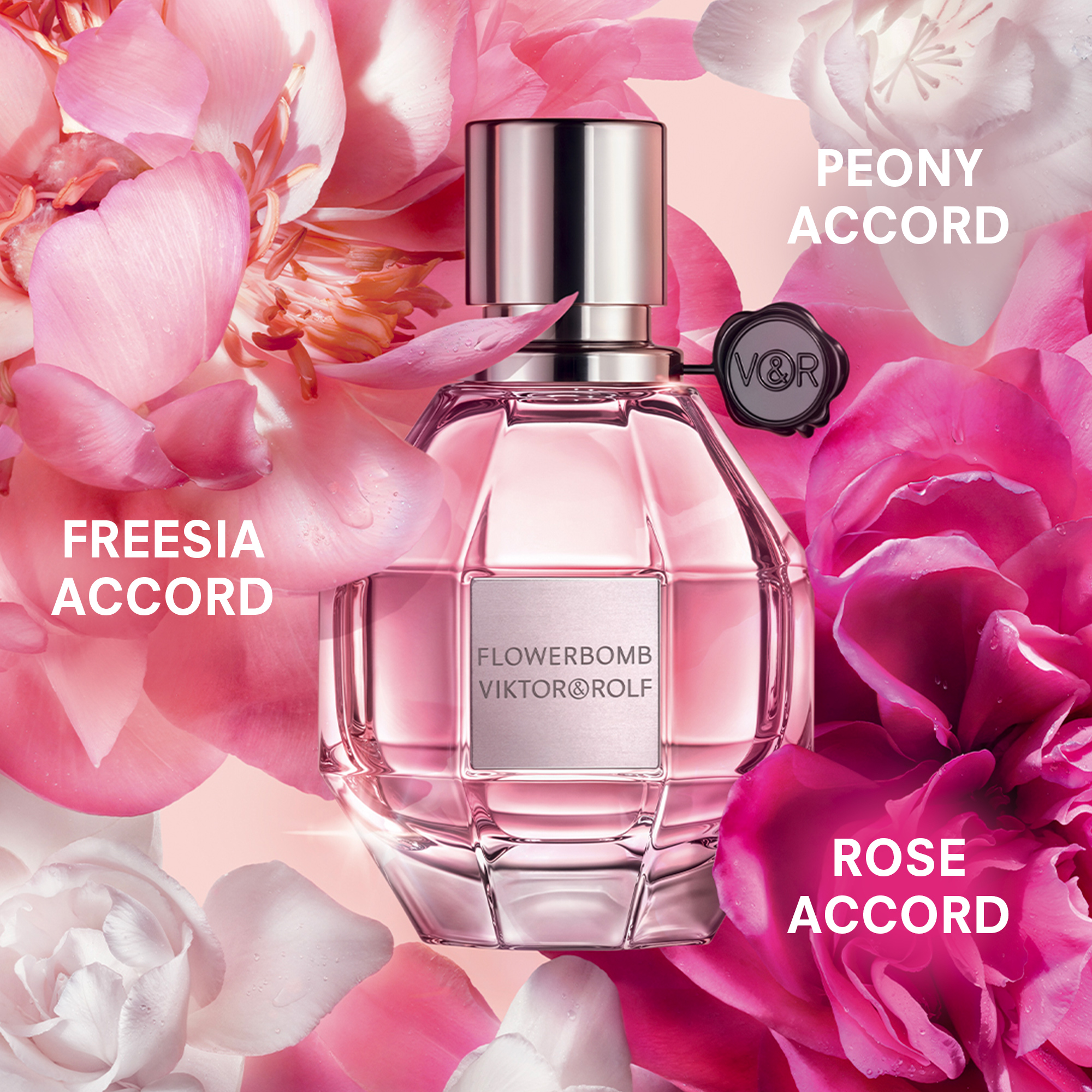 Signature Scent Recommendations cover photo collage
