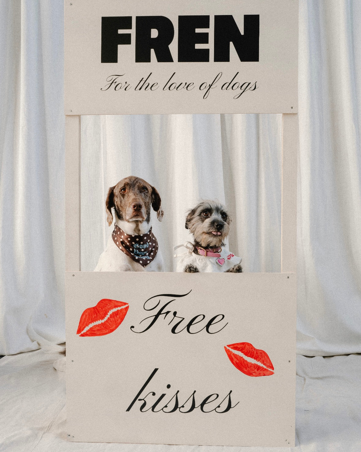 The Dog Edit: Things My Dog (and I) Can’t Live Without 🐶 cover photo collage