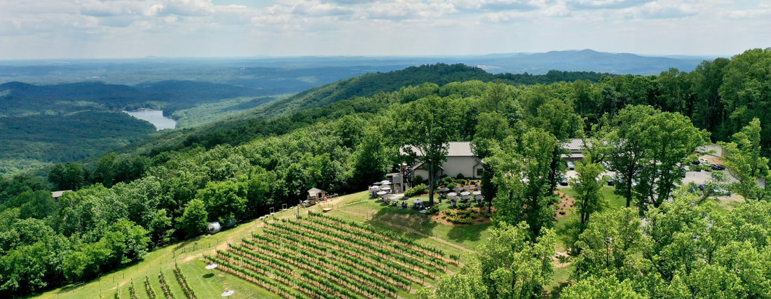 your guide to BLUE RIDGE, GEORGIA cover photo collage