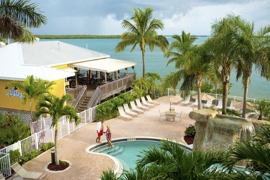 SWFL recs for visitors and locals alike 
Especially families! cover photo collage