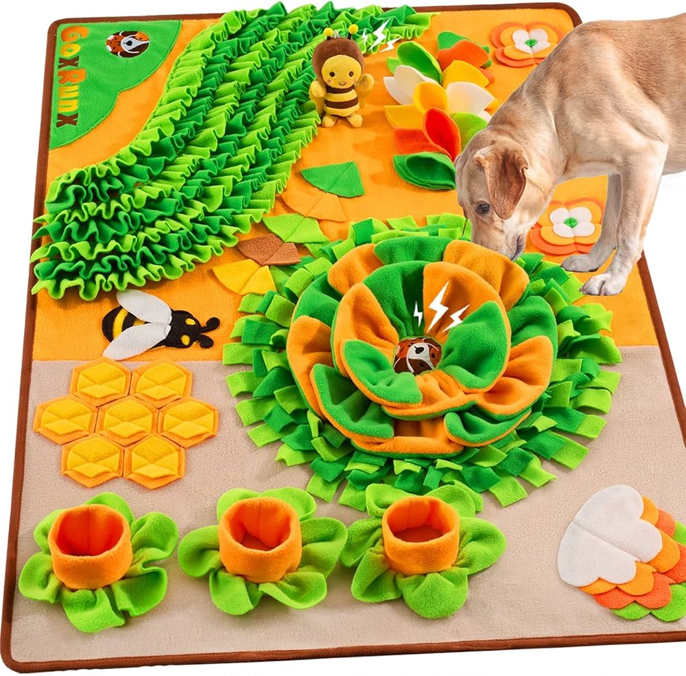 Best Dog Toys, Treats, and Essentials (Mini Aussie Approved!) cover photo collage