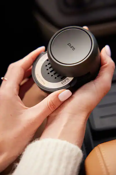 “The Car Lover’s Wishlist: Must-Have Accessories for Every Driver cover photo collage