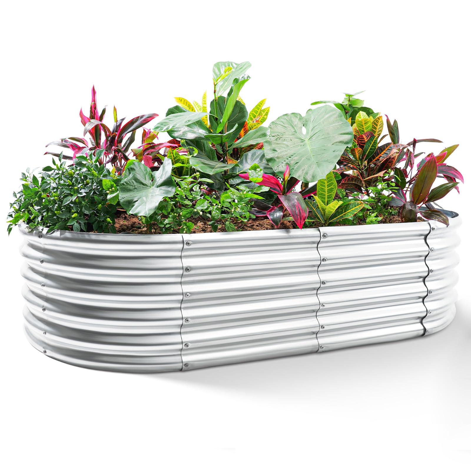 Gardening in raised beds cover photo collage