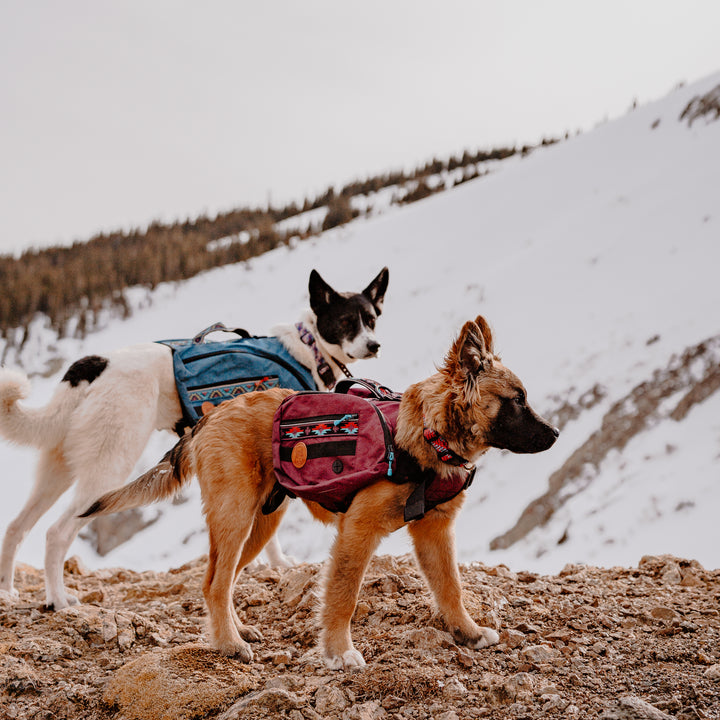 Dog Mom Essentials cover photo collage