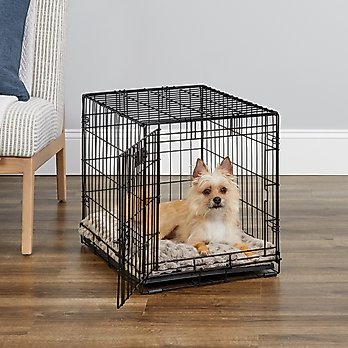 Dog mom products cover photo collage