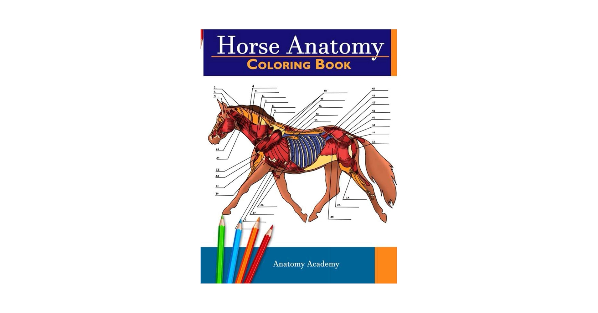 Horsing Around cover photo collage