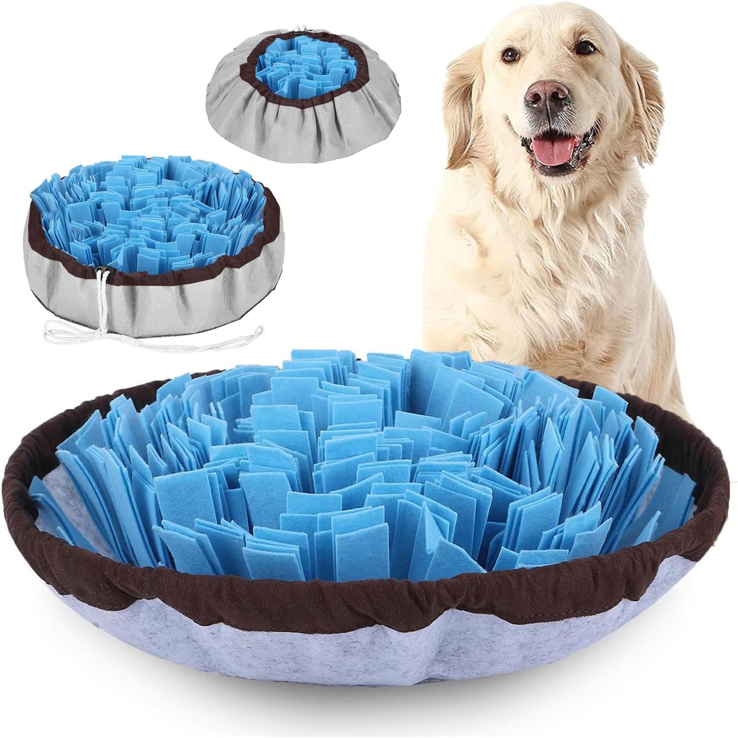 Must haves for the most spoiled dogs cover photo collage