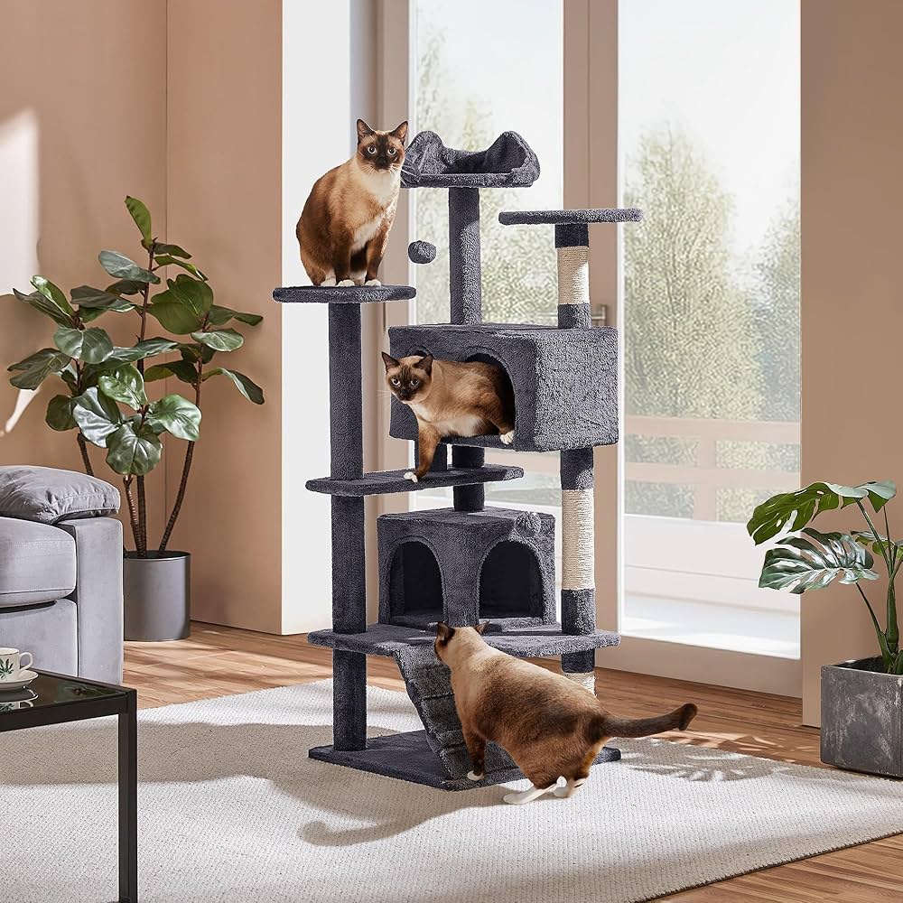 Cat Owner Essentials — Must-Have Gear for Happy, Healthy Cats cover photo collage