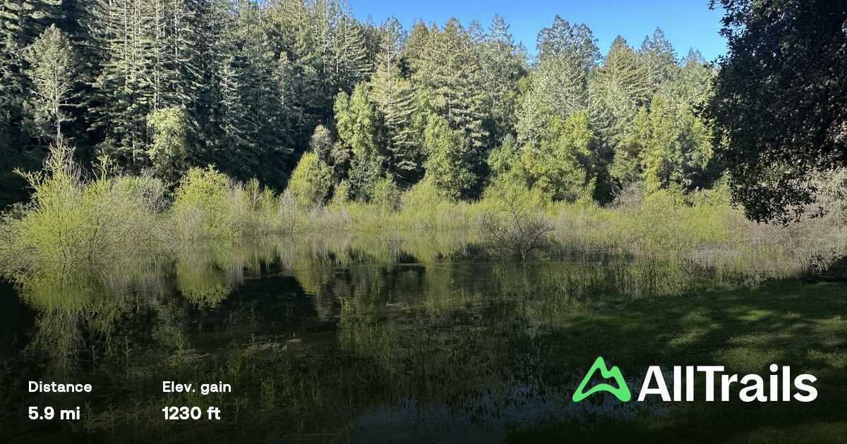 Sonoma County Favorites cover photo collage