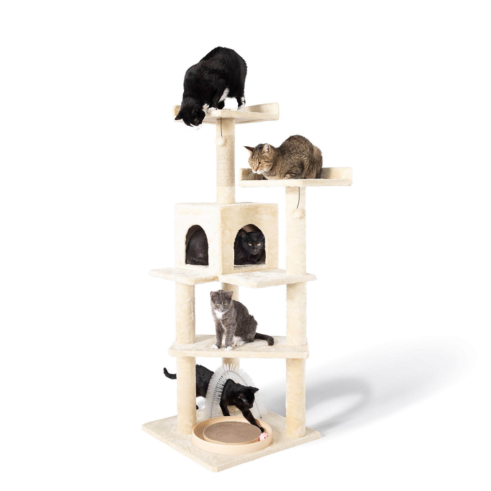 ESSENTIALS FOR CATS:)) cover photo collage