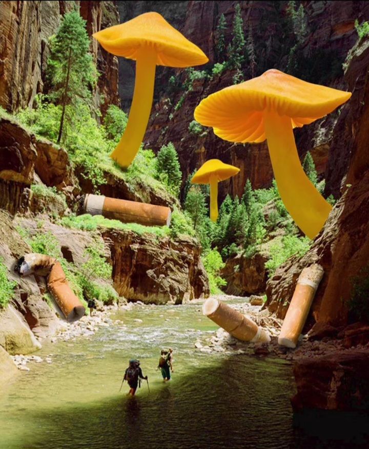 The vibes I'm trying to curate ✨️🧚‍♀️ cover photo collage