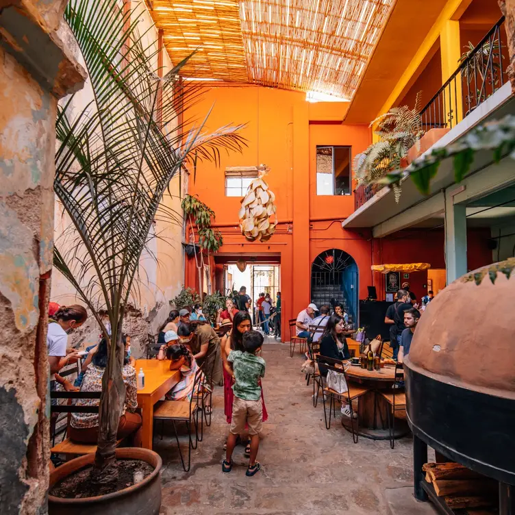 oaxaca(n) you believe it! 🌵 cover photo collage