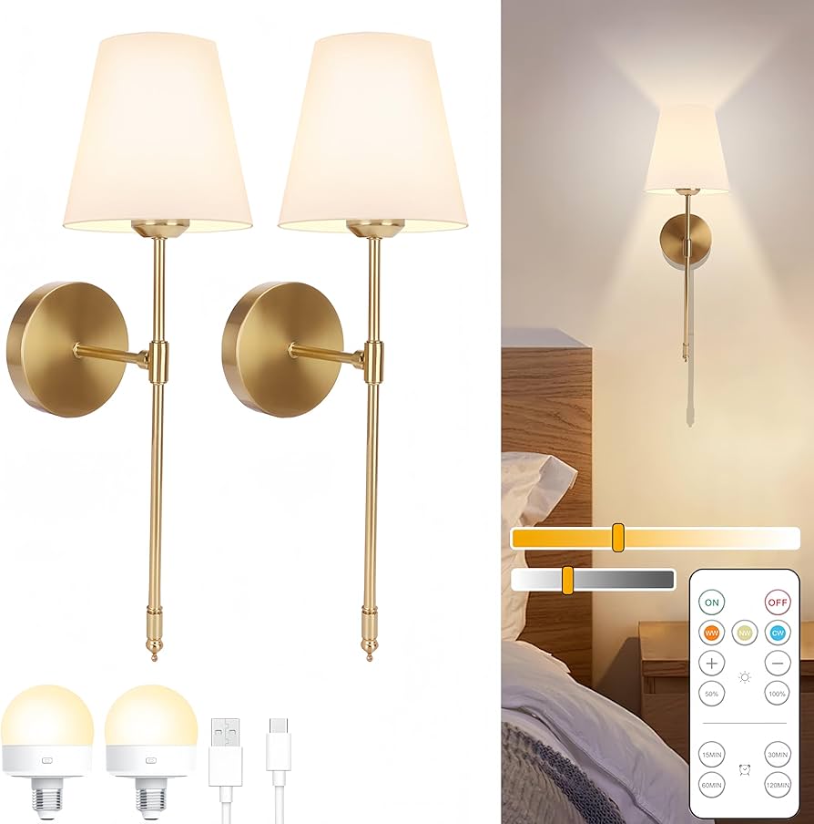 Founder of the 'Anti-Big Light' Club cover photo collage