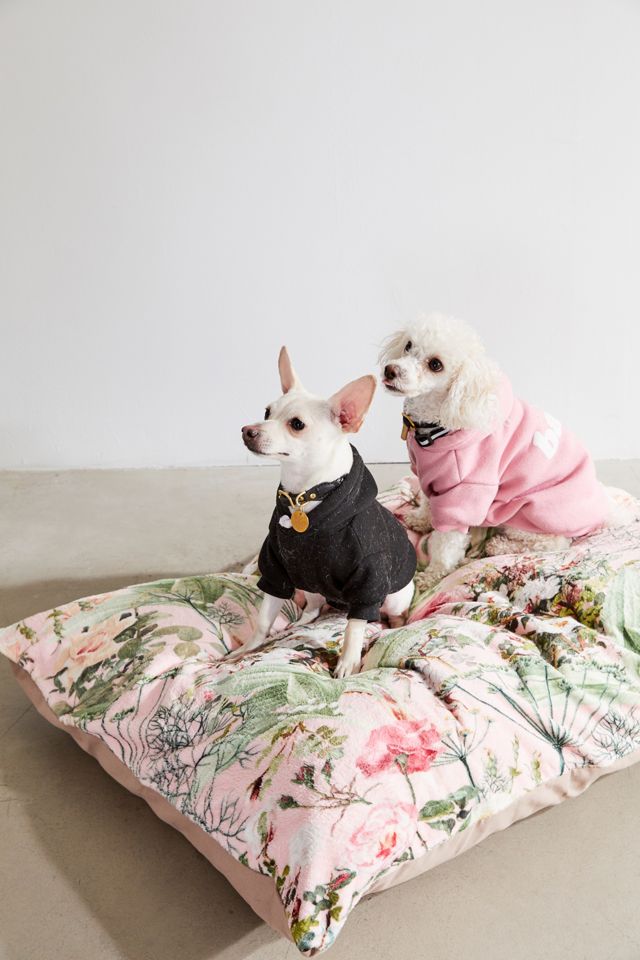 Spoiled Pups cover photo collage