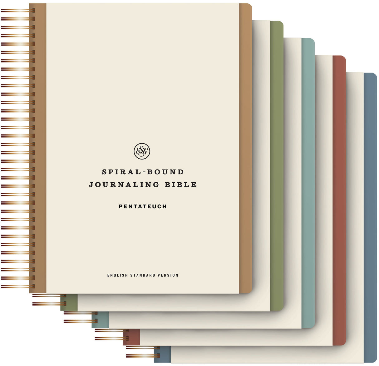 The Most Beautiful Bibles I
