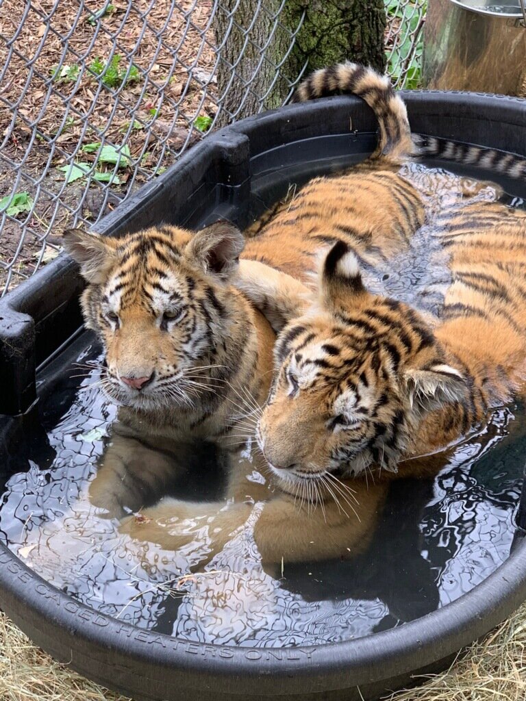 Reserve for Fun cover photo collage