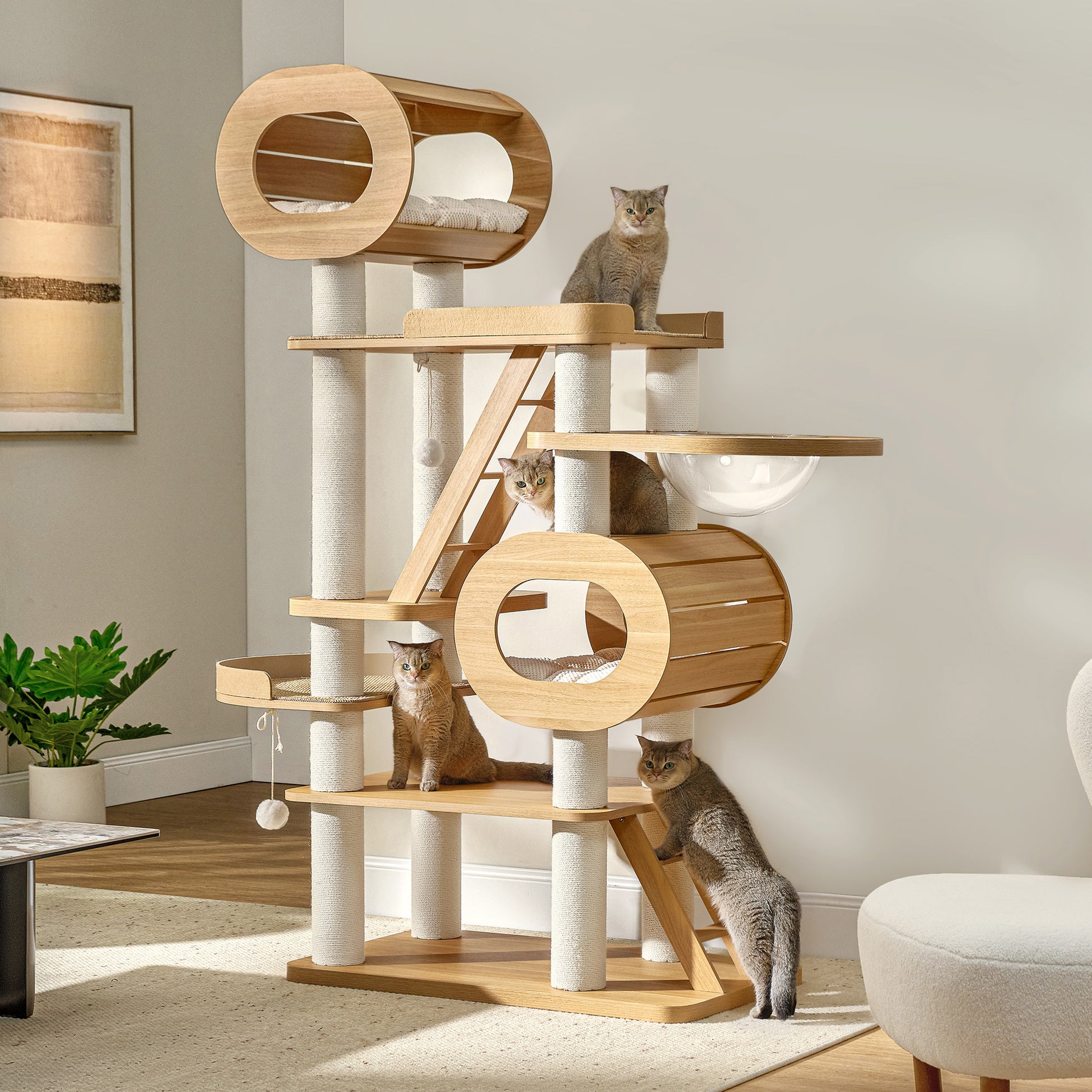 Must-have cat supplies! Your cat will thank you later cover photo collage