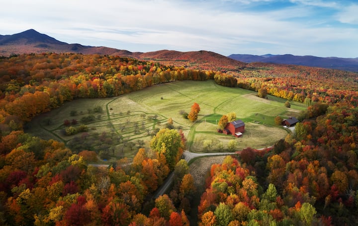 10 Cozy Vermont Airbnbs for a Weekend Getaway cover photo collage