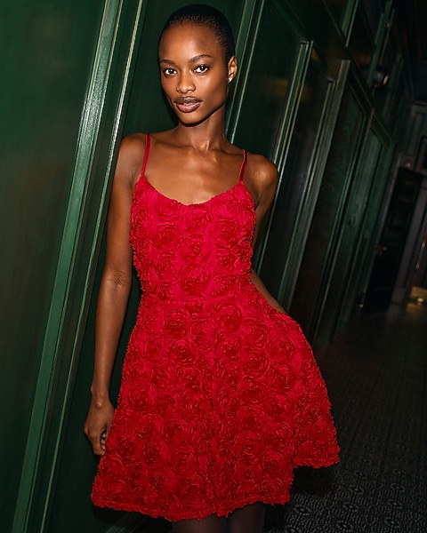 holiday dresses express Fall2023
