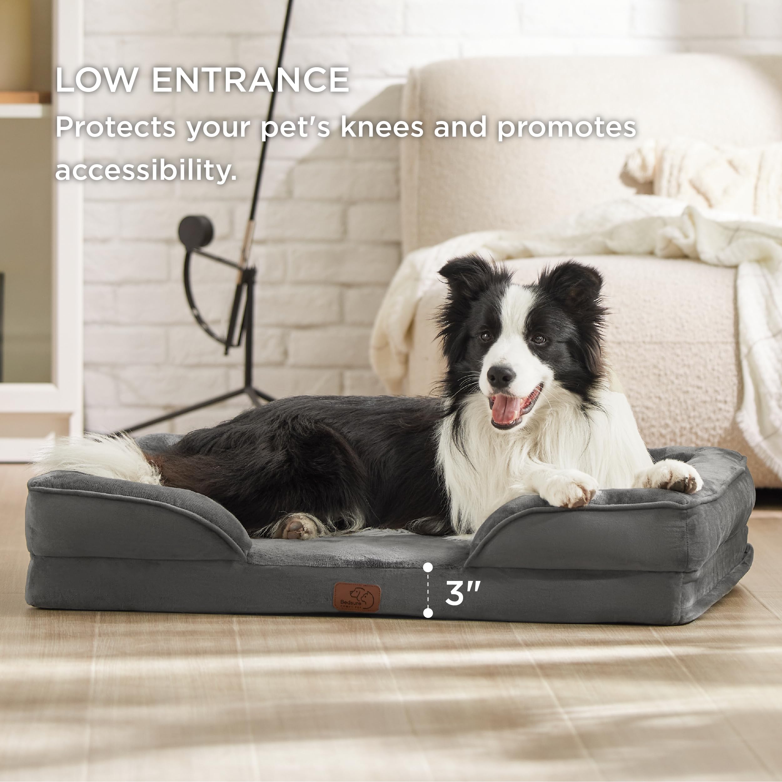 ESSENTIALS FOR DOGS:)) cover photo collage