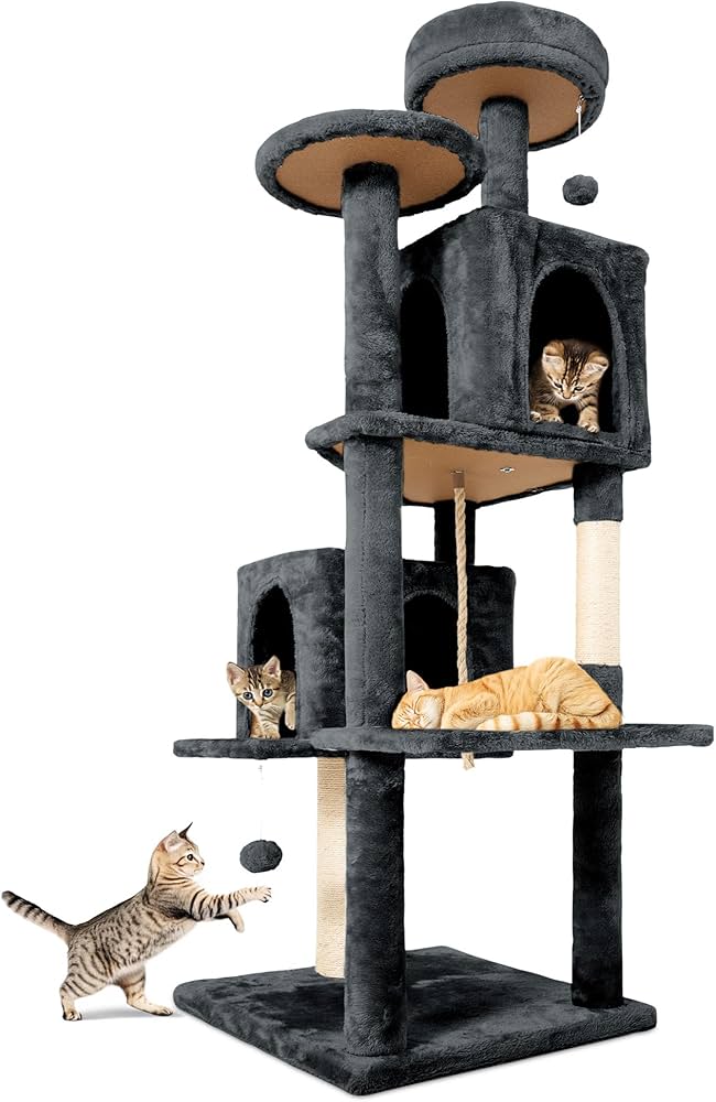 I'm not a regular cat mom. I'm a cool cat mom. cover photo collage