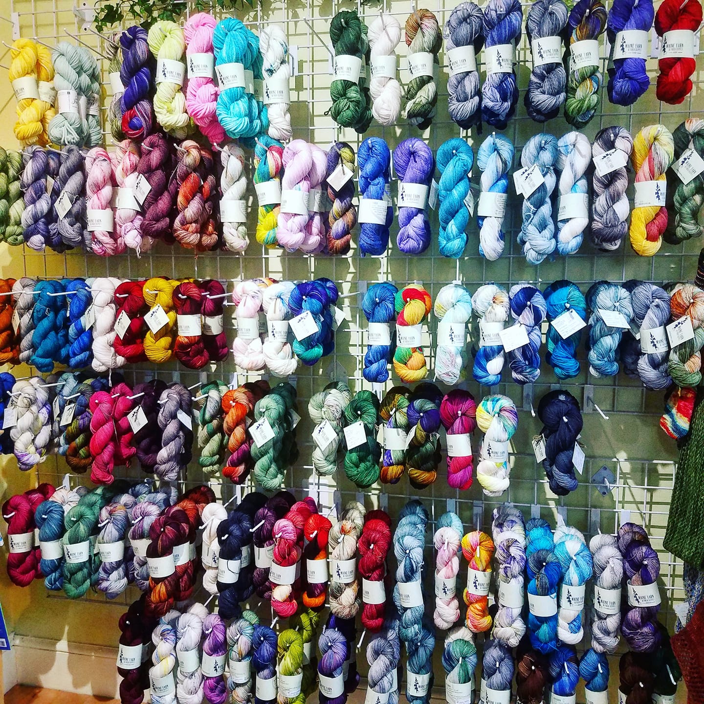 Come with me to my local yarn store! cover photo collage