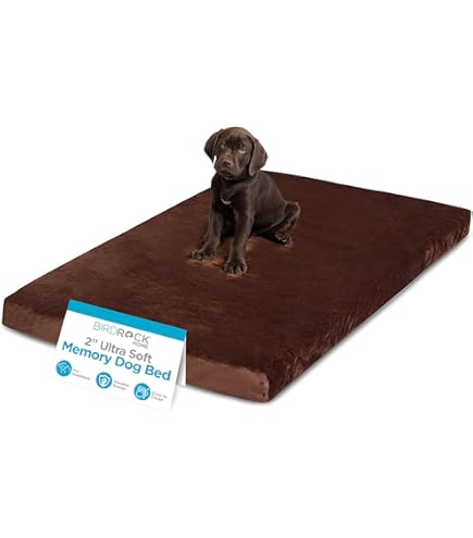 My Dachshunds Favorites cover photo collage