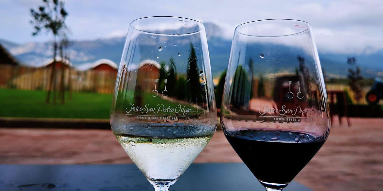 Things to do in Logrono, Spain cover photo collage