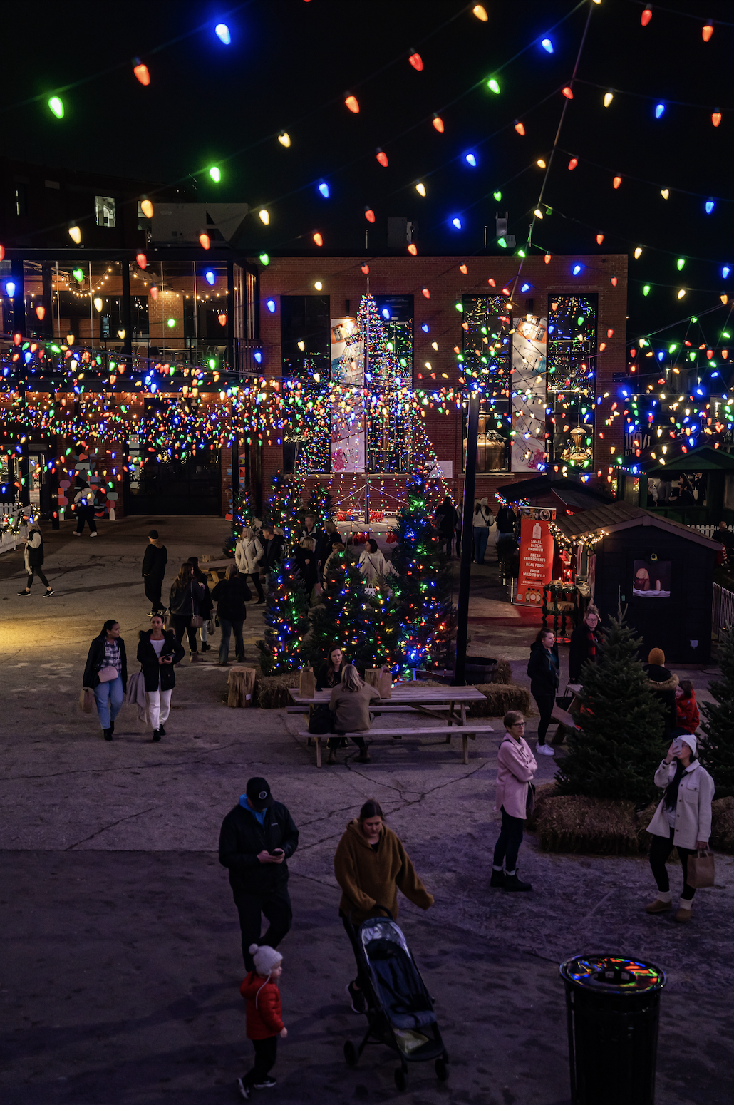 Have a Holly Jolly Christmas cover photo collage