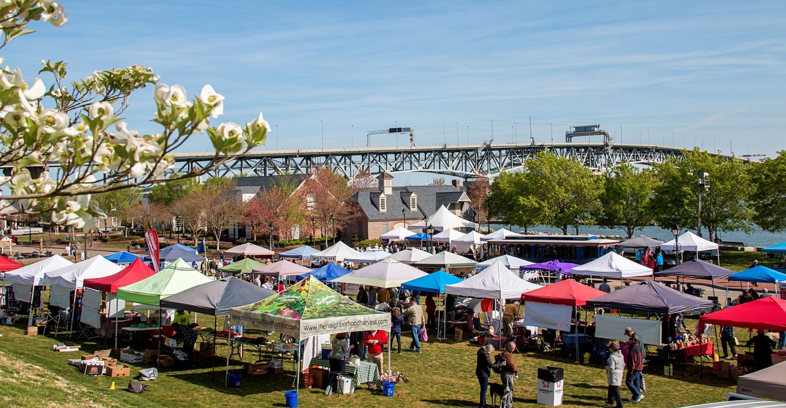Things to do in Williamsburg! History, shopping, food, fun!! cover photo collage
