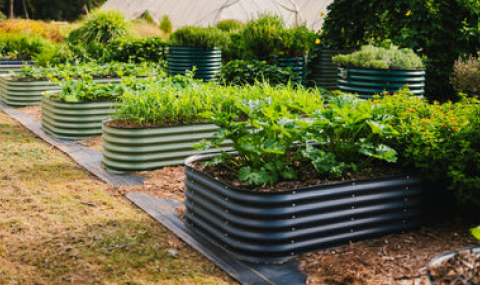 Garden must haves! cover photo collage