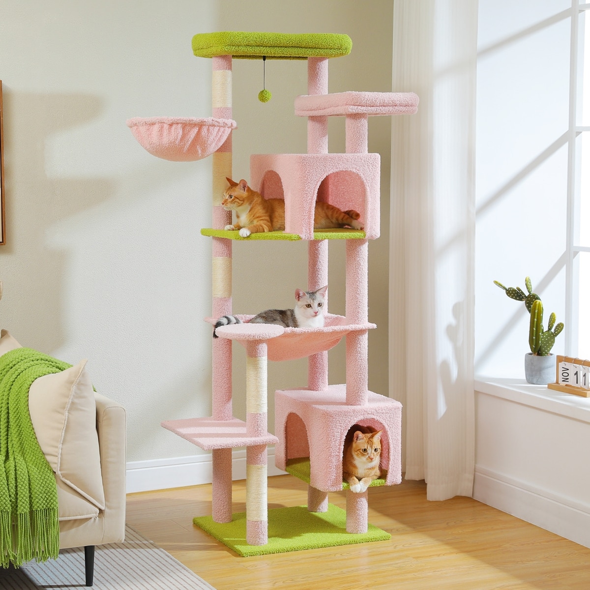 Cat Essentials cover photo collage