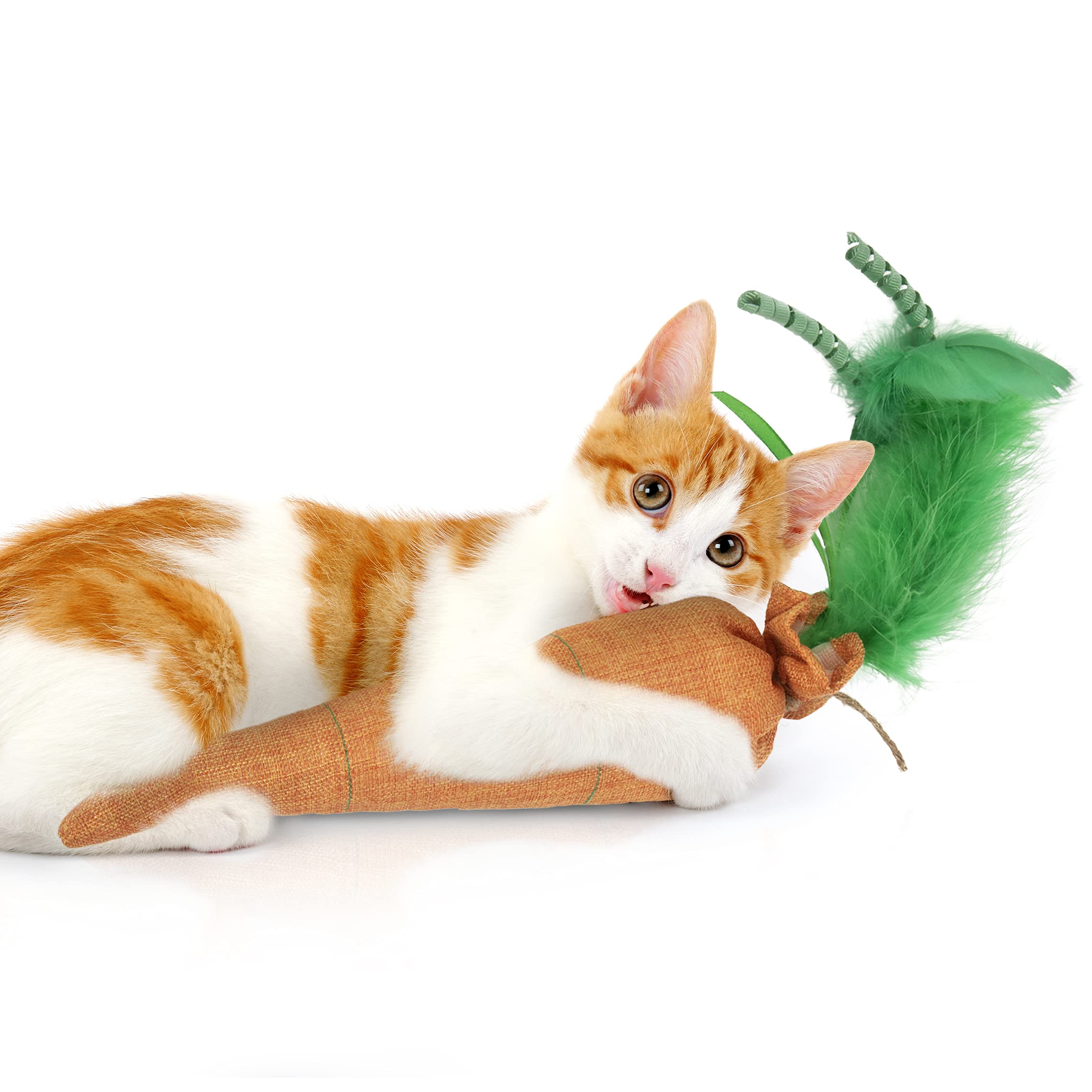 My Cats Favorite Toys cover photo collage