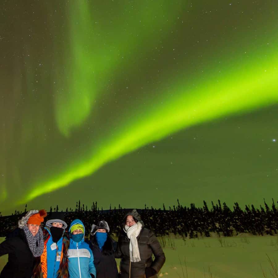 Top Things to Do in Alaska in the Winter cover photo collage