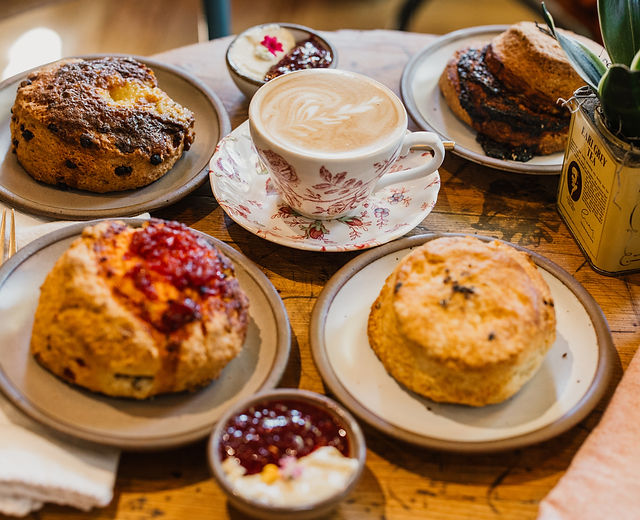 calling all coffee lovers!!☕️🧸 cover photo collage