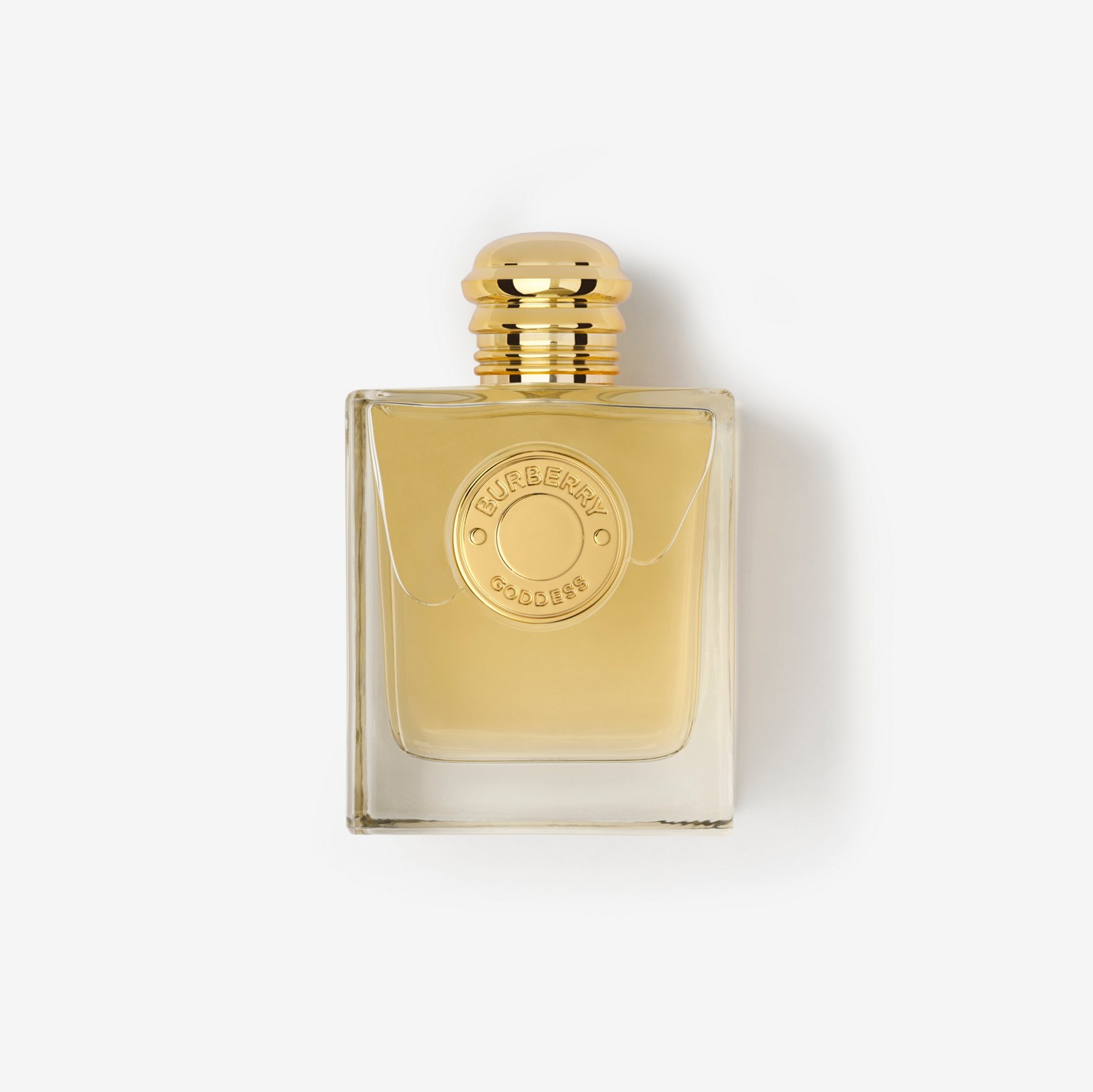 Aromas que dejan estelas de memorias ,perfumes que están marcando tendencia ,mis favoritos y recomendados cover photo collage