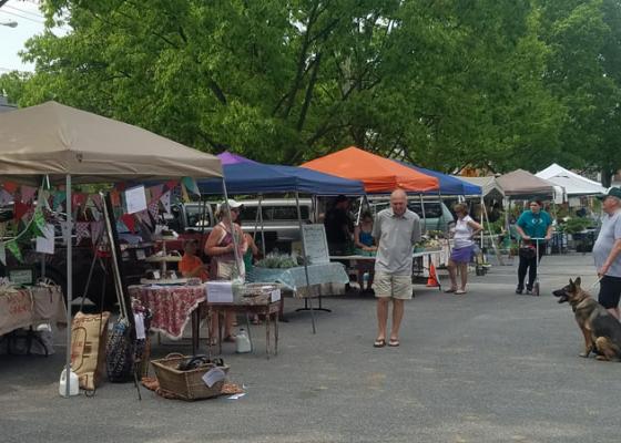 Local Favorites cover photo collage