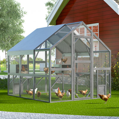 Chicken Care cover photo collage