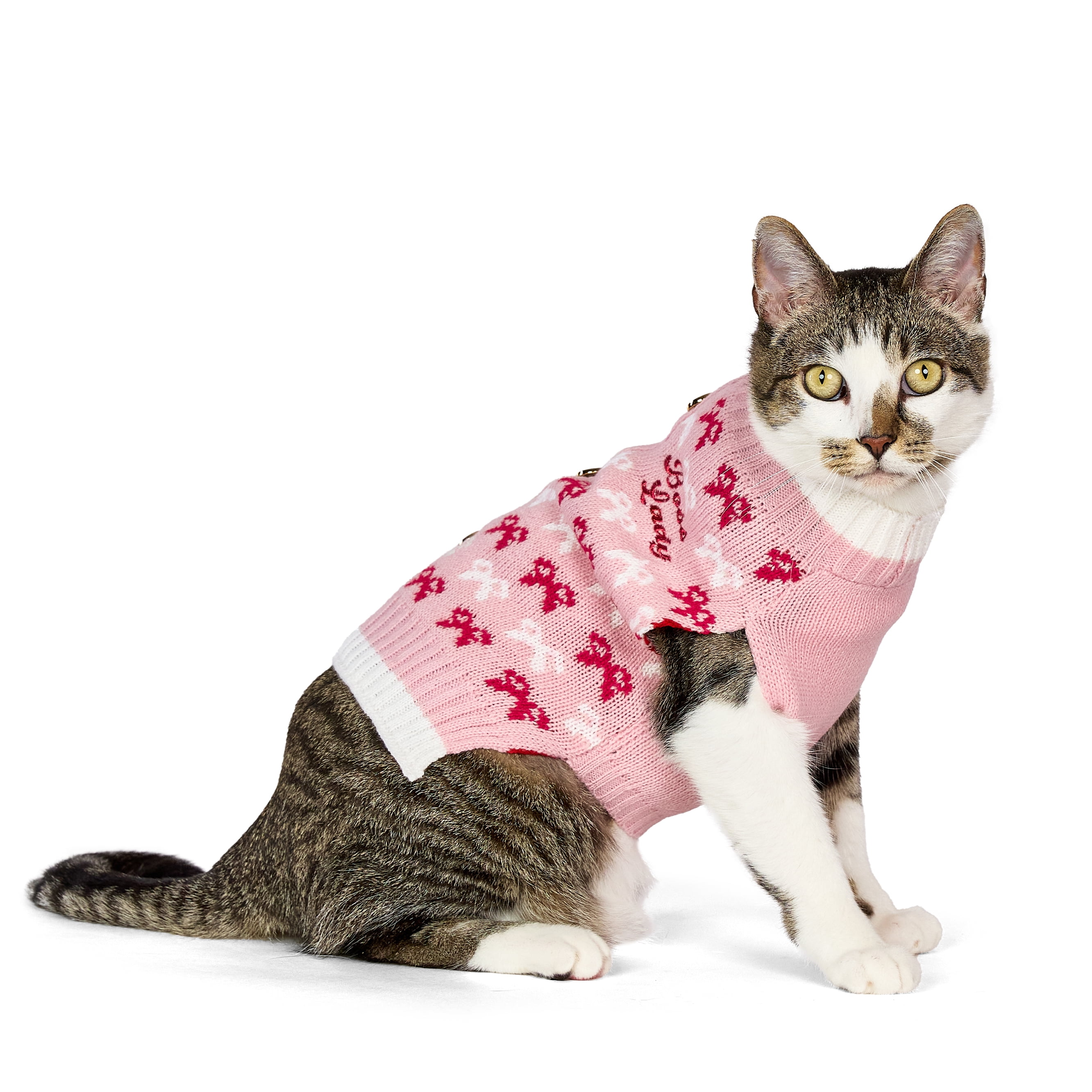 Purrfect Cat Essentials🐾 cover photo collage