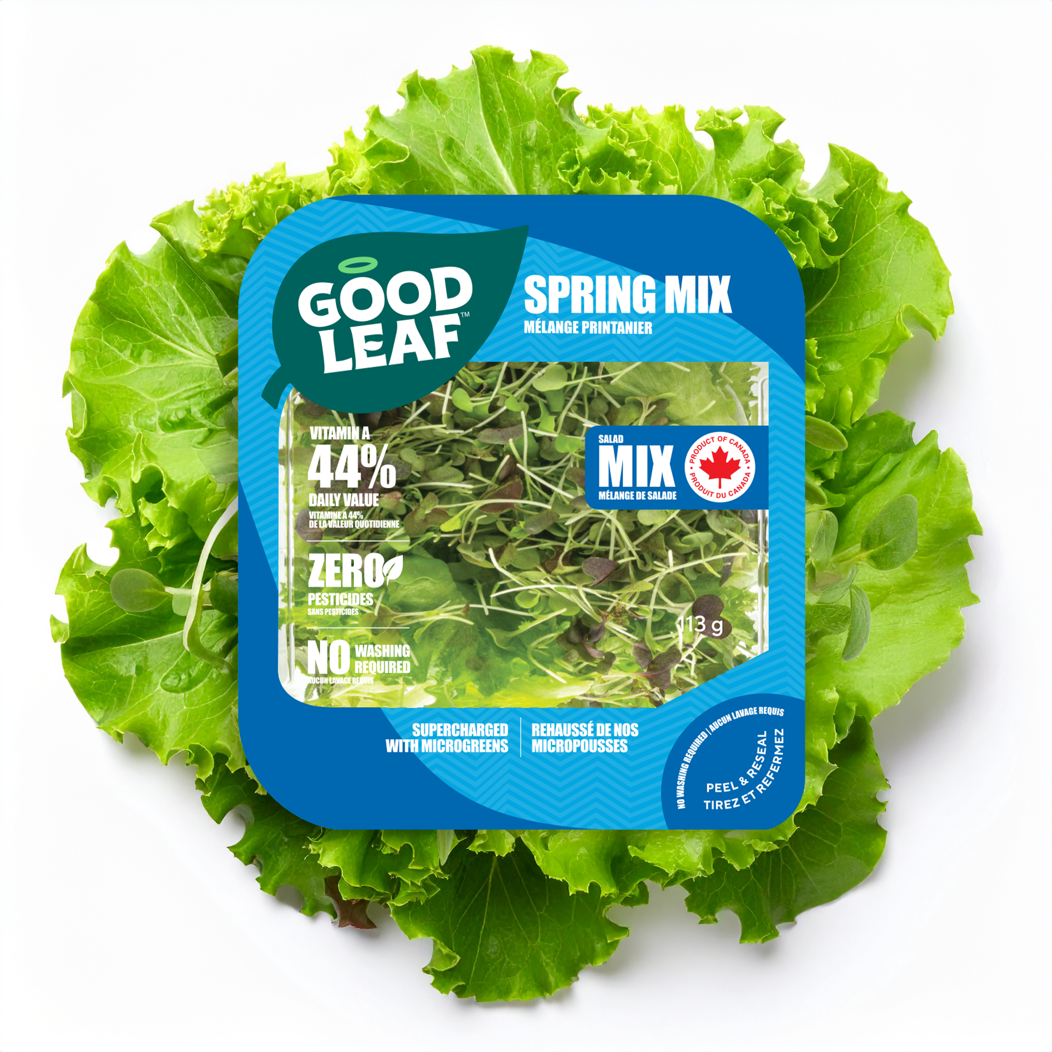 What I eat in a day as a (mostly) plant-based girly cover photo collage