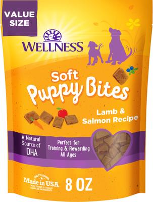 New Puppy? Here is everything you need cover photo collage