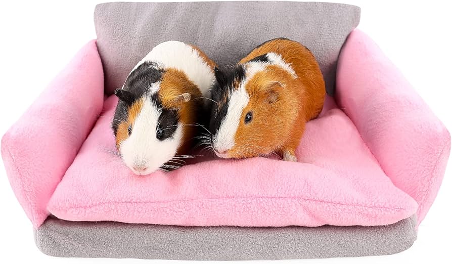 guinea pig essentials (australia-friendly) cover photo collage