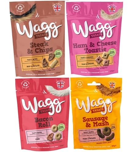 Pet Essentials: What Me and My Dog Can't Live Without cover photo collage