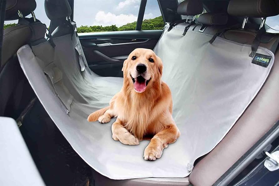 For your furry friends 🐶 cover photo collage