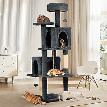 I have 10 cats, here's what they love! cover photo collage