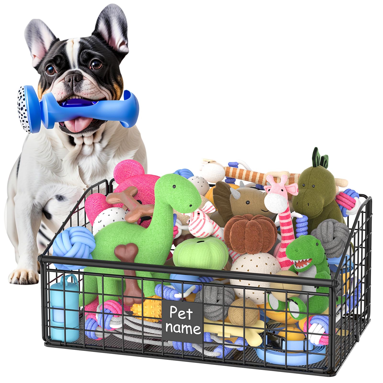 Dog-Mom Picks cover photo collage