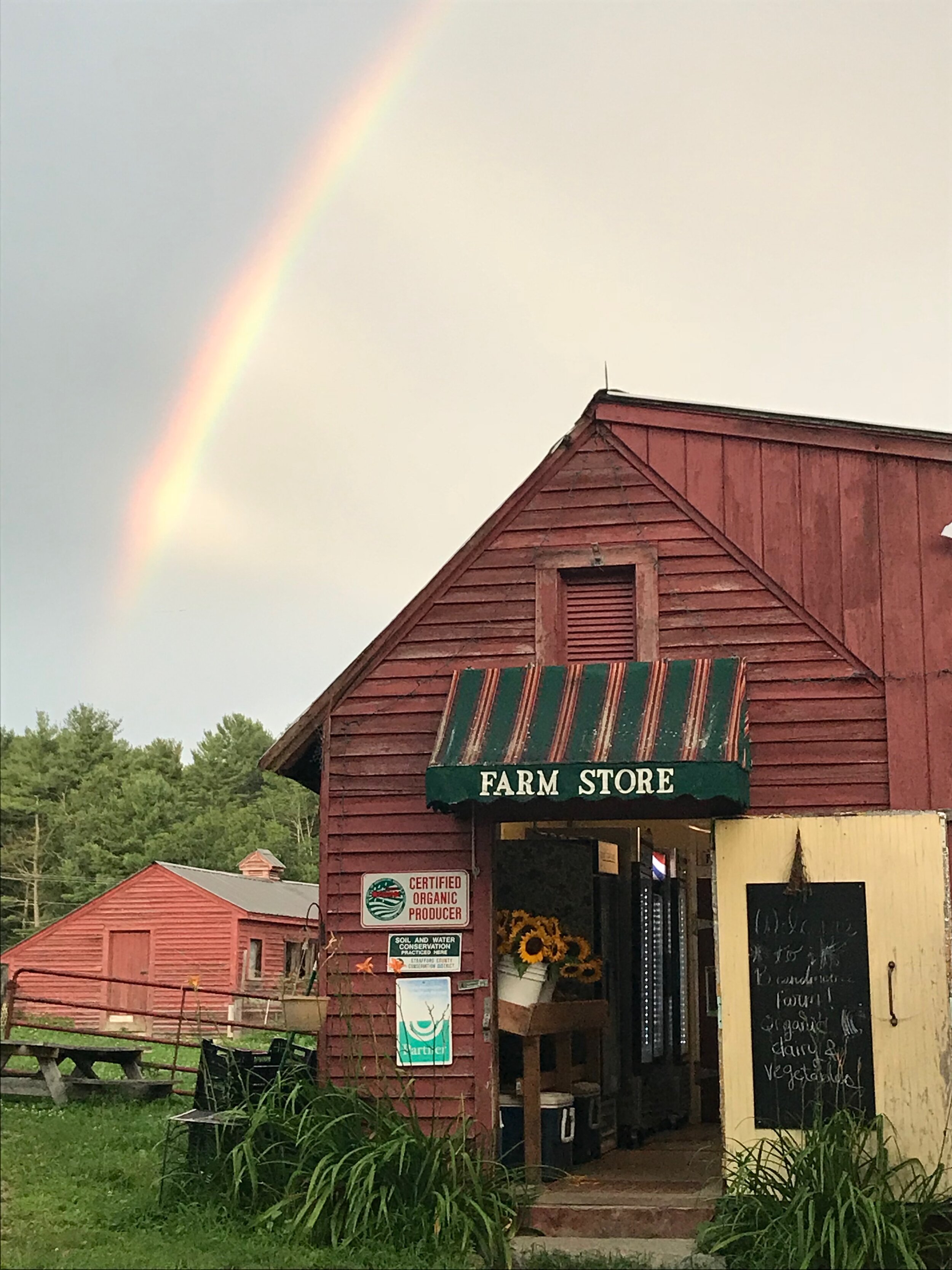 My Favorite Hidden Treasures near Coastal New Hampshire & Maine cover photo collage