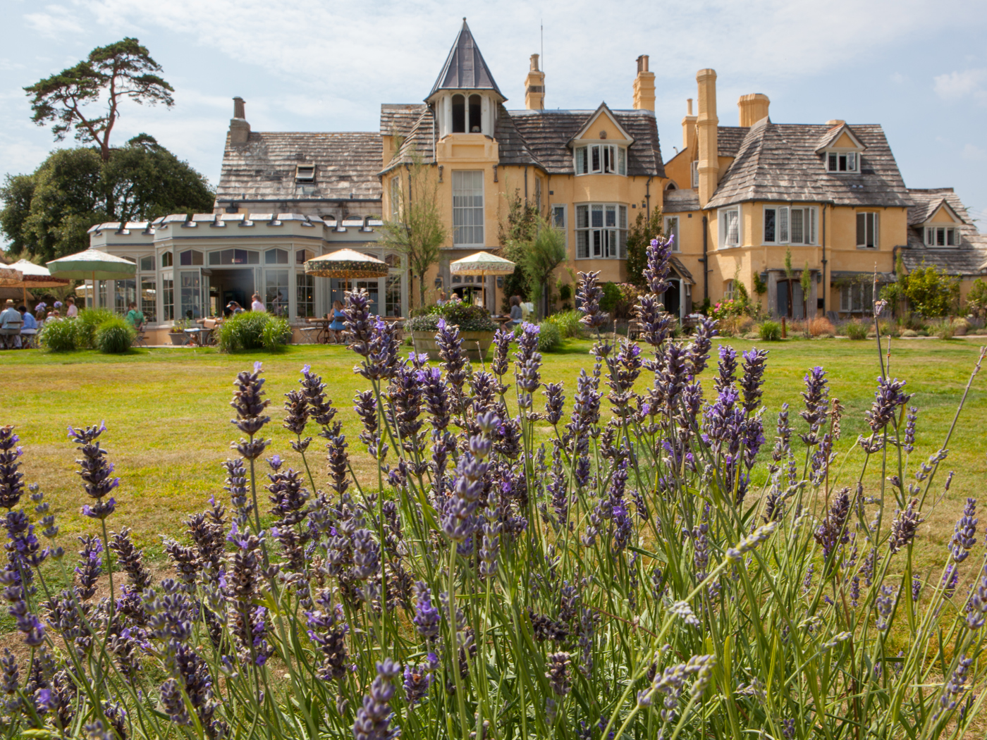 Healthy Body, Healthy Mind cover photo collage