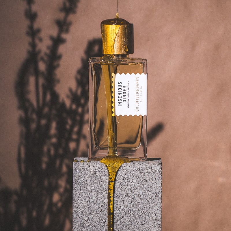 A wishlist of niche perfumes for humid summer days cover photo collage