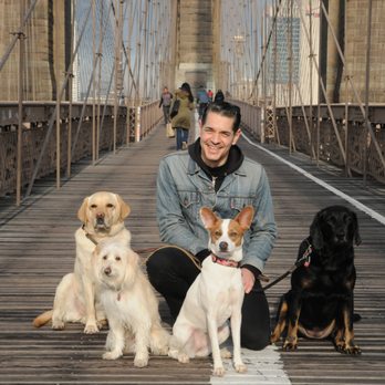 Pet Pros I Trust With My (Hypothetical) Dog’s Life cover photo collage